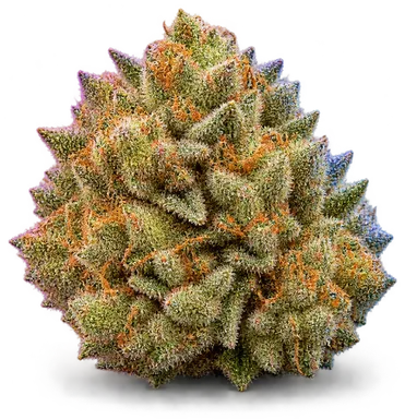 AI-generated illustration of a cannabis flower for the Golden Ticket X Tangie page, not a photo of the strain