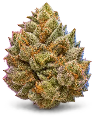 AI-generated illustration of a cannabis flower for the Gold Experience page, not a photo of the strain