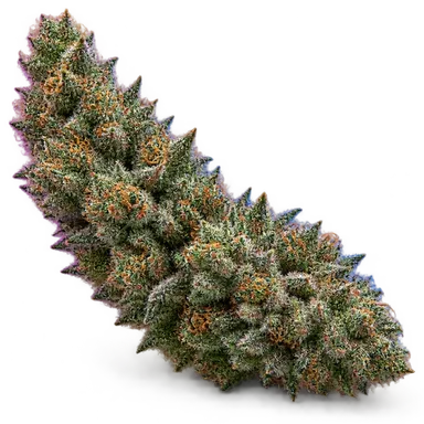 AI-generated illustration of a cannabis flower for the Goofiez page, not a photo of the strain