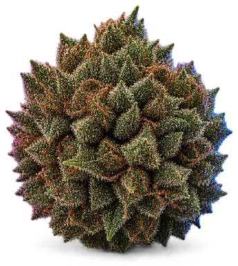 AI-generated illustration of a cannabis flower for the Gorilla Cookies page, not a photo of the strain