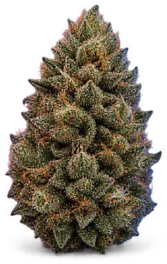 AI-generated illustration of a cannabis flower for the Gorilla Glue page, not a photo of the strain