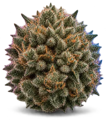 AI-generated illustration of a cannabis flower for the Gorilla Goo 4 Swc page, not a photo of the strain