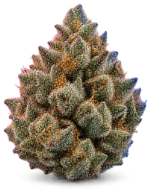 AI-generated illustration of a cannabis flower for the Gorilla Krunch page, not a photo of the strain