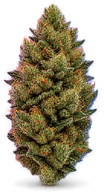 AI-generated illustration of a cannabis flower for the Governmentz page, not a photo of the strain
