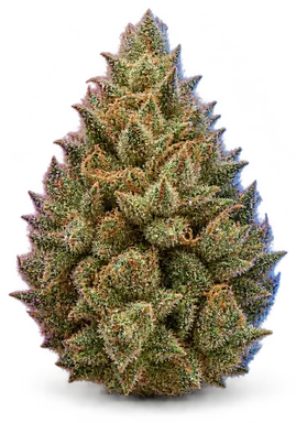 AI-generated illustration of a cannabis flower for the Grand Cru page, not a photo of the strain