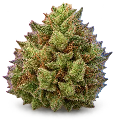 AI-generated illustration of a cannabis flower for the Granny Smith Apple page, not a photo of the strain
