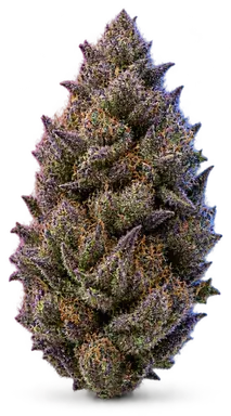 AI-generated illustration of a cannabis flower for the Grape 98 page, not a photo of the strain