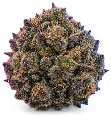 AI-generated illustration of a cannabis flower for the Grape Ape page, not a photo of the strain