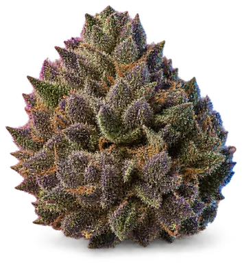 AI-generated illustration of a cannabis flower for the Grape Cake page, not a photo of the strain