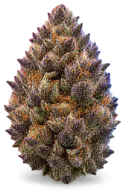 AI-generated illustration of a cannabis flower for the Grape Canyonz page, not a photo of the strain