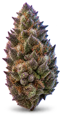AI-generated illustration of a cannabis flower for the Grape Cookies page, not a photo of the strain