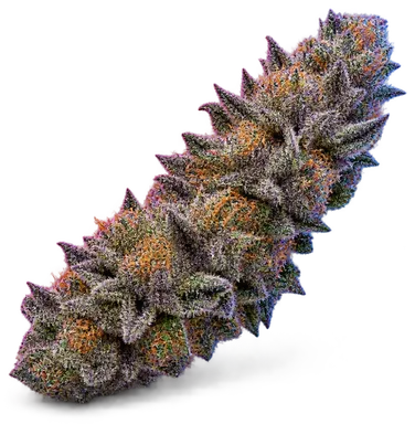 AI-generated illustration of a cannabis flower for the Grapefruit Durban page, not a photo of the strain