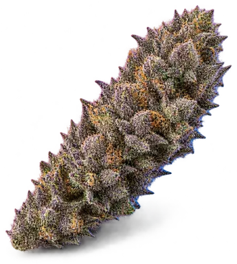 AI-generated illustration of a cannabis flower for the Grape Gas page, not a photo of the strain