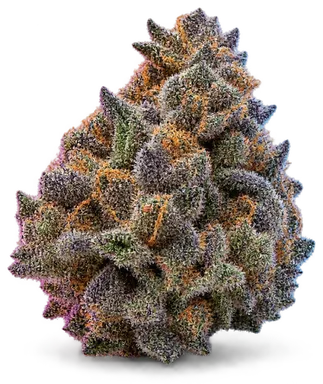AI-generated illustration of a cannabis flower for the Grape Marmalade page, not a photo of the strain