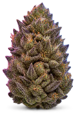 AI-generated illustration of a cannabis flower for the Grape Monster page, not a photo of the strain