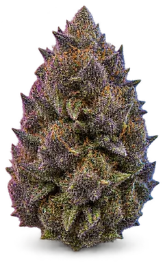 AI-generated illustration of a cannabis flower for the Grape OG page, not a photo of the strain