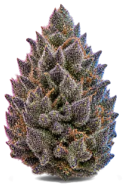 AI-generated illustration of a cannabis flower for the Grape Pie page, not a photo of the strain