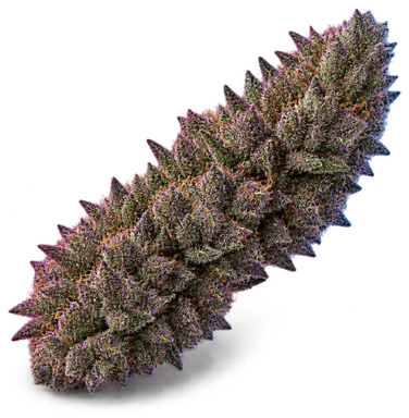 AI-generated illustration of a cannabis flower for the Grapes And Cream page, not a photo of the strain