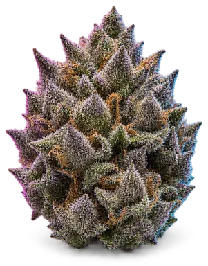 AI-generated illustration of a cannabis flower for the Grape Stomper OG page, not a photo of the strain