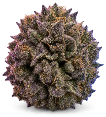 AI-generated illustration of a cannabis flower for the Grape Valley Kush page, not a photo of the strain