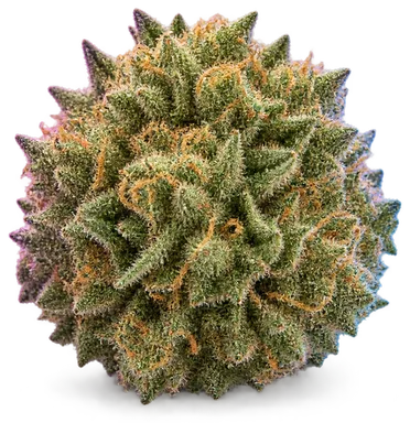 AI-generated illustration of a cannabis flower for the Gravity Gush page, not a photo of the strain