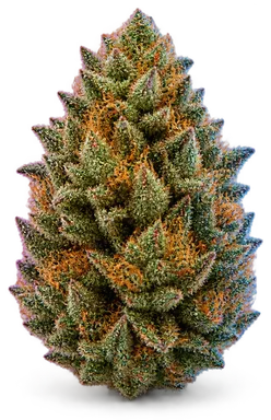 AI-generated illustration of a cannabis flower for the Green Crack page, not a photo of the strain