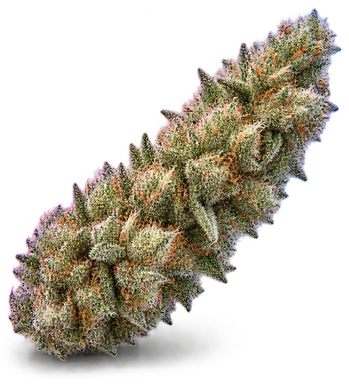 AI-generated illustration of a cannabis flower for the Guava page, not a photo of the strain