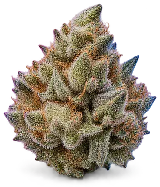 AI-generated illustration of a cannabis flower for the Guava Ice page, not a photo of the strain