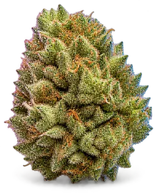AI-generated illustration of a cannabis flower for the Gush Mints page, not a photo of the strain