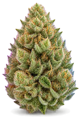 AI-generated illustration of a cannabis flower for the Gush Mintz page, not a photo of the strain