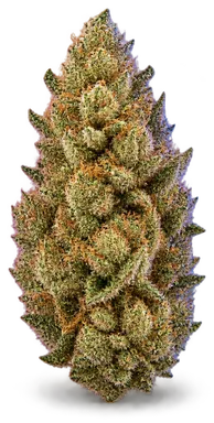 AI-generated illustration of a cannabis flower for the Gwagon page, not a photo of the strain