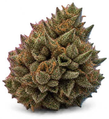 AI-generated illustration of a cannabis flower for the Hardcore OG page, not a photo of the strain