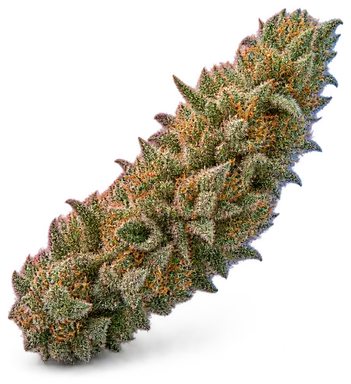 AI-generated illustration of a cannabis flower for the Hasta Manana page, not a photo of the strain