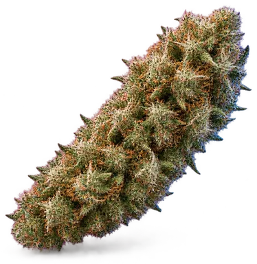 AI-generated illustration of a cannabis flower for the Hawaiian Skunk page, not a photo of the strain
