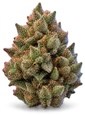 AI-generated illustration of a cannabis flower for the Heir Heads page, not a photo of the strain