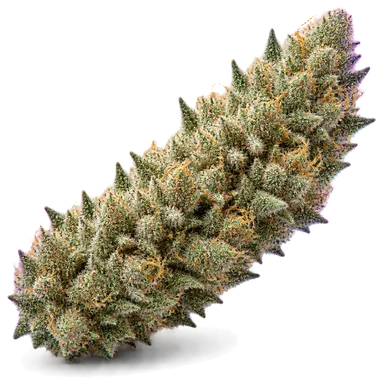 AI-generated illustration of a cannabis flower for the Hella Jelly page, not a photo of the strain