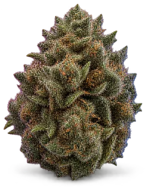 AI-generated illustration of a cannabis flower for the Hell's OG page, not a photo of the strain