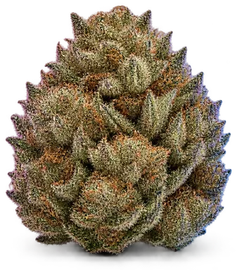 AI-generated illustration of a cannabis flower for the Hindu Zkittlez page, not a photo of the strain
