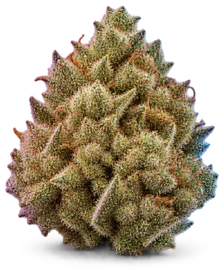 AI-generated illustration of a cannabis flower for the Honey Buns page, not a photo of the strain