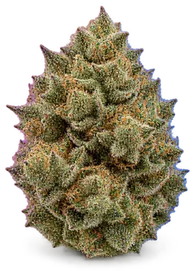 AI-generated illustration of a cannabis flower for the Hot Monts page, not a photo of the strain