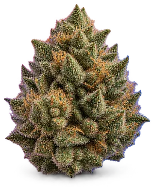 AI-generated illustration of a cannabis flower for the Howie Roll page, not a photo of the strain