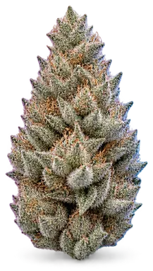 AI-generated illustration of a cannabis flower for the Ice Cream Cake page, not a photo of the strain