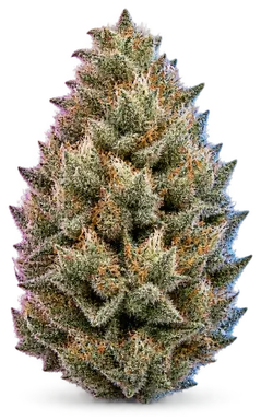 AI-generated illustration of a cannabis flower for the Ice Cream Pie page, not a photo of the strain