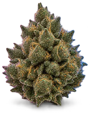 AI-generated illustration of a cannabis flower for the Inferno OG page, not a photo of the strain