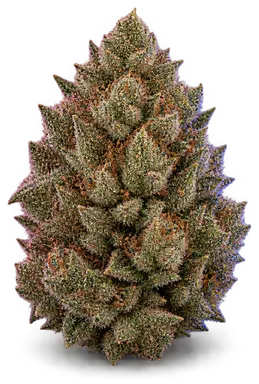 AI-generated illustration of a cannabis flower for the Invisible Ink page, not a photo of the strain