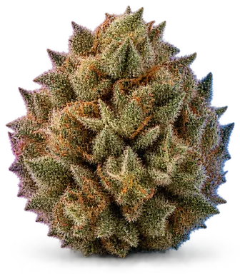AI-generated illustration of a cannabis flower for the Island Sweet Skunk page, not a photo of the strain