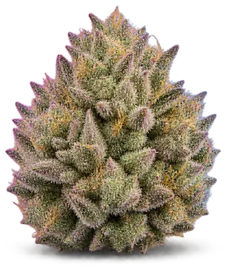 AI-generated illustration of a cannabis flower for the Italian Bubblegum page, not a photo of the strain