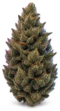 AI-generated illustration of a cannabis flower for the Jawa Kush page, not a photo of the strain