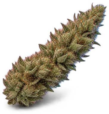 AI-generated illustration of a cannabis flower for the Jelly Cocktail 5 page, not a photo of the strain