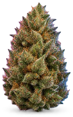 AI-generated illustration of a cannabis flower for the Jet Fuel 2 page, not a photo of the strain